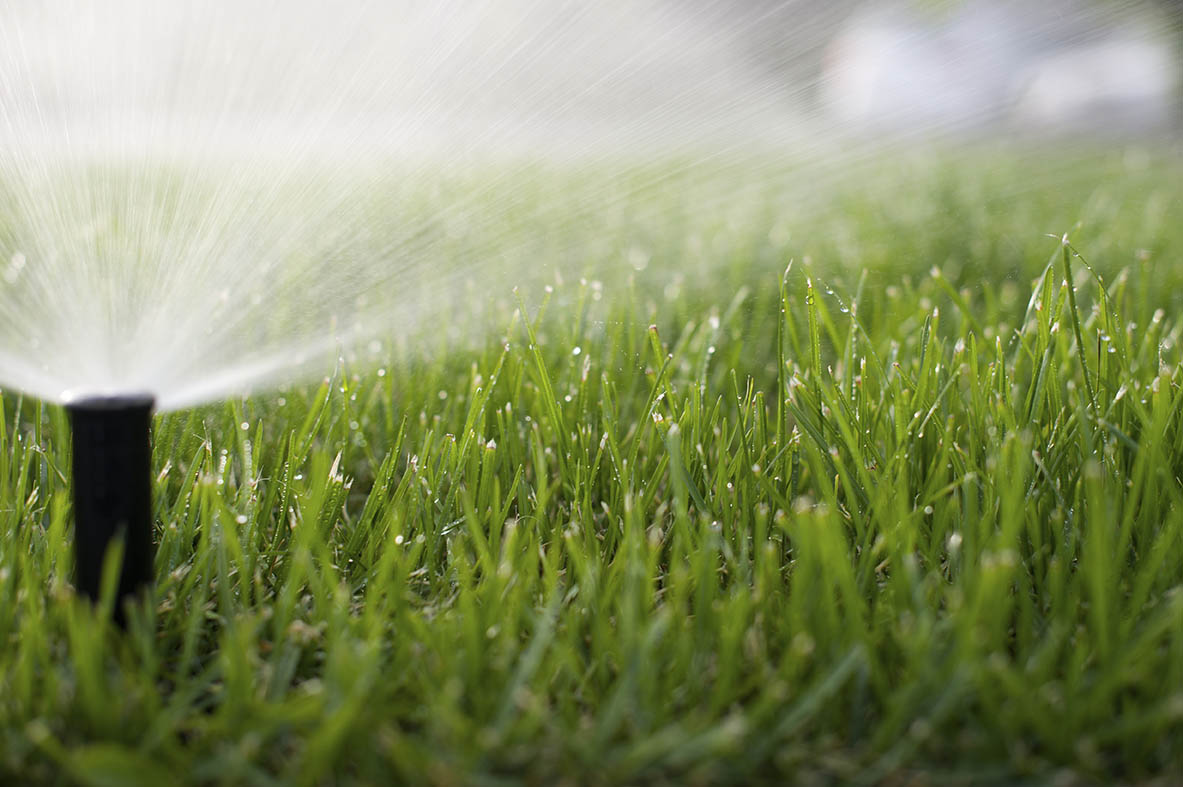 Late Summer Is Prime Time to Renew Your Michigan Lawn