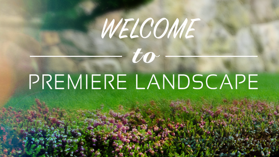 Welcome to Premiere Landscape Services